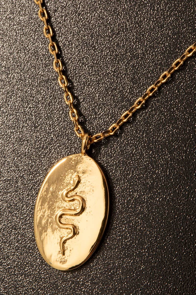 Snake Oval Coin Necklace