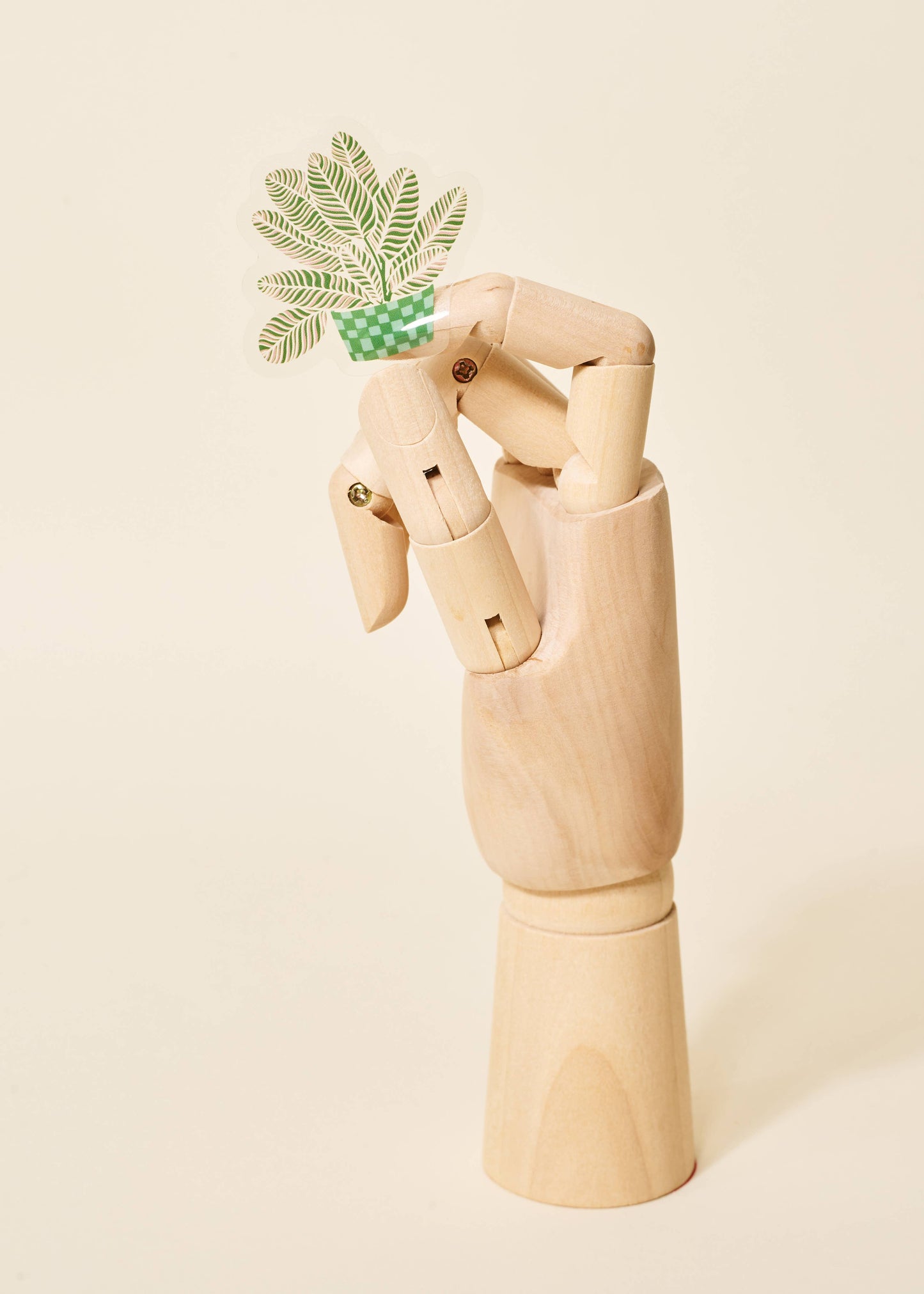 Calathea Houseplant Transparent Sticker