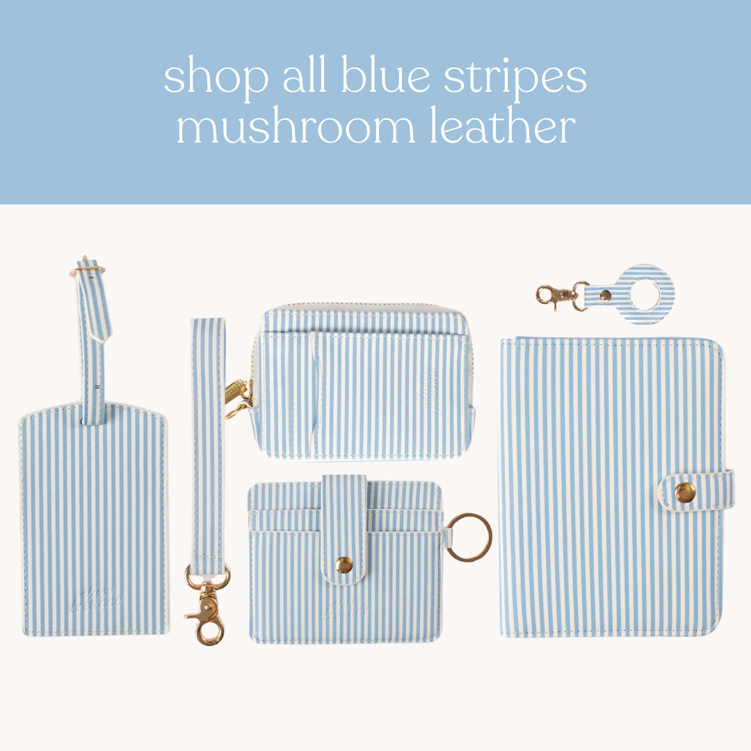 Blue Stripes AirTag Keychain