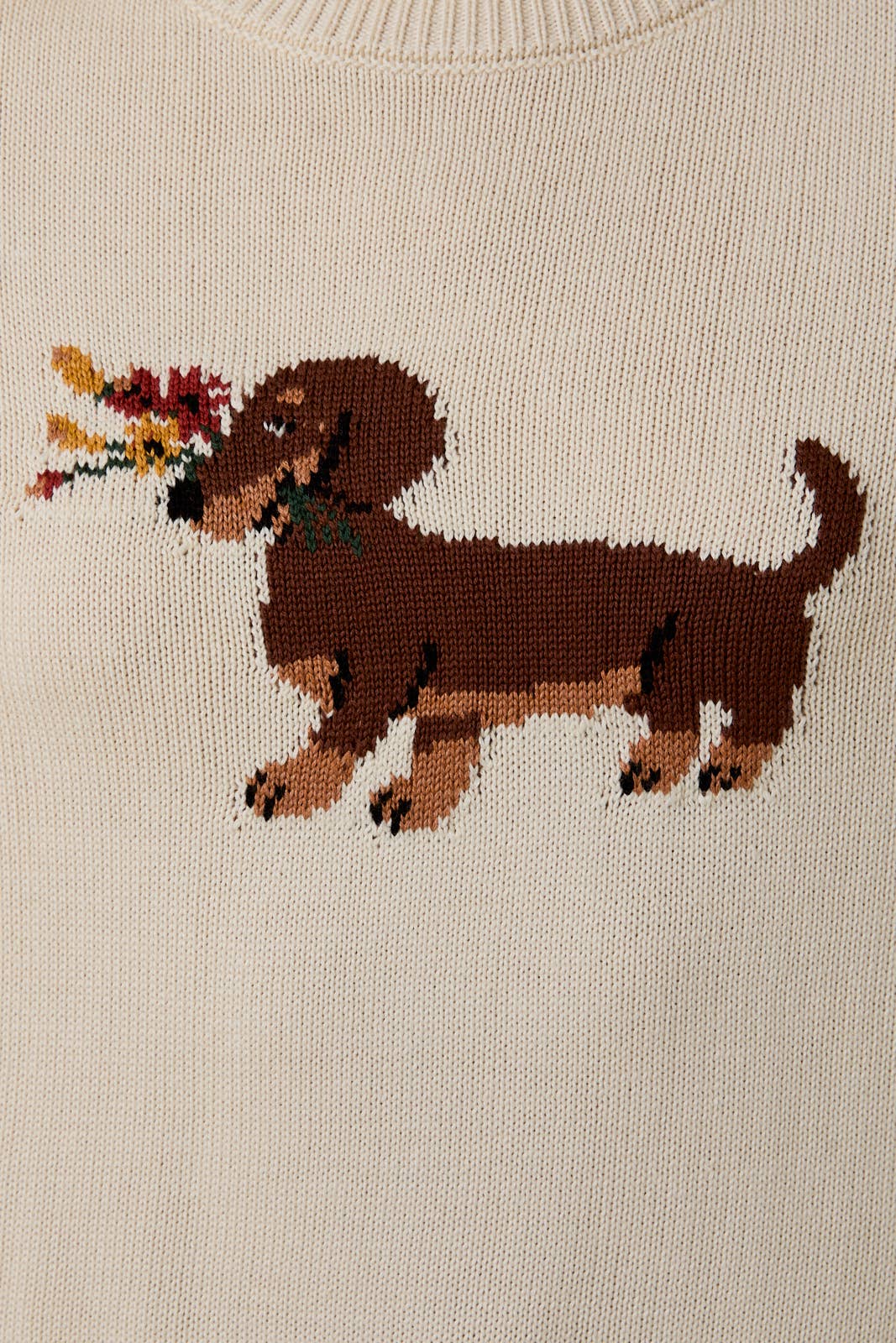 Dog Days Sweater