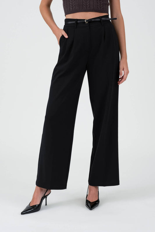High-Waisted Pleated Wide-Leg Dress Pants