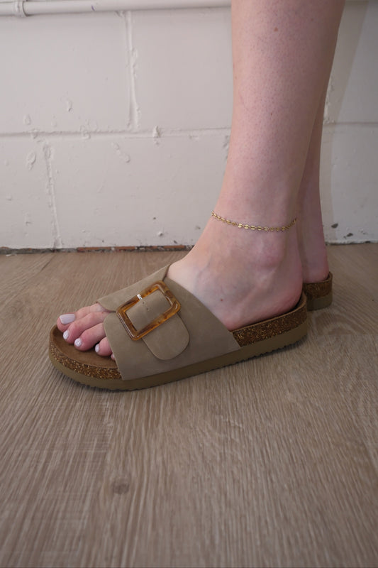 Coastal Buckle Slides