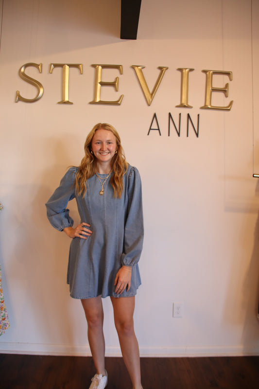 Daylight Denim Mini Dress