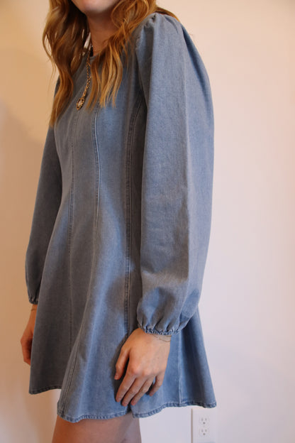 Daylight Denim Mini Dress