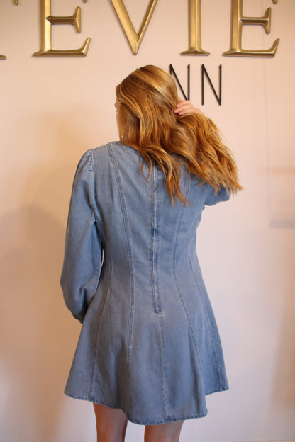 Daylight Denim Mini Dress