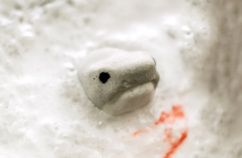 Bath Bomb | Megalodon Shark