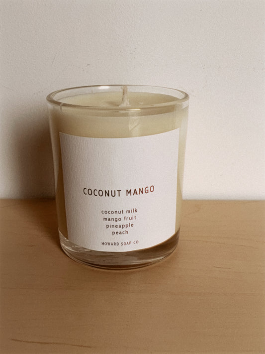 Soy Candle | Coconut Mango